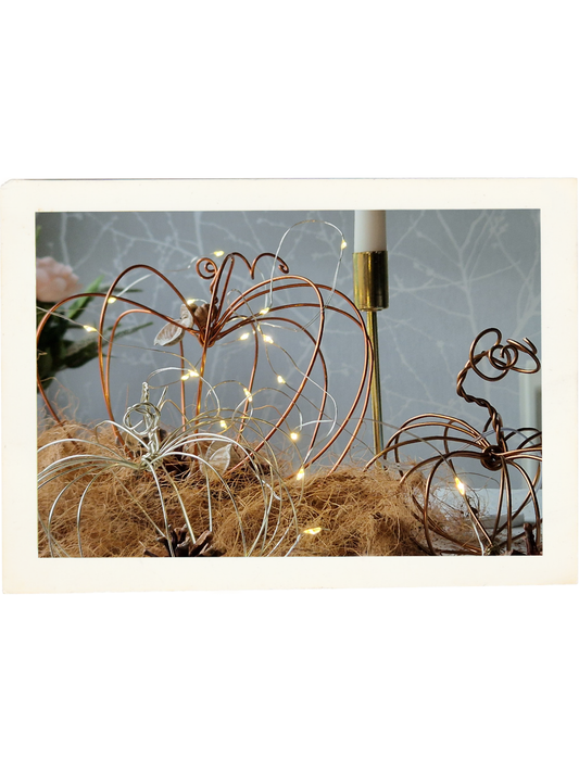 Wire Pumpkin Workshop - Saturday 3rd Oct'  -  10.30am–1.30pm